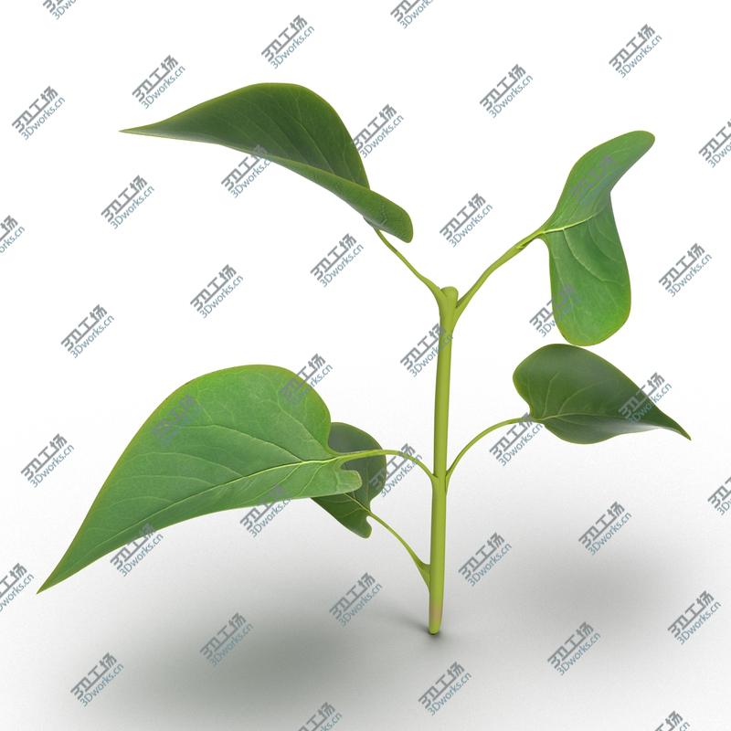 images/goods_img/2021040232/Branch With Leaves 2/5.jpg